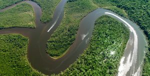 pacote para o ecopark na amazonia