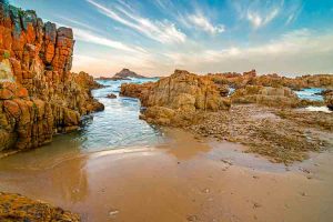 knysna garden route