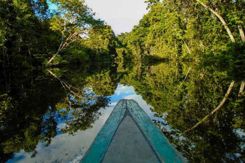 Navegar pela amazônia é uma atividade imperdível
