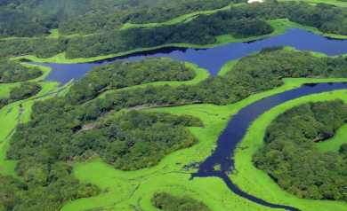 rios e natureza do amazonas