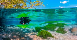 Pacote de Viagem Bonito Flutuação Sucuri