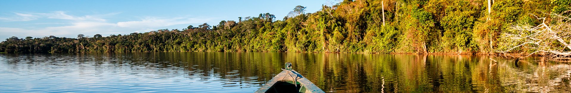 passeio de barco amazonas