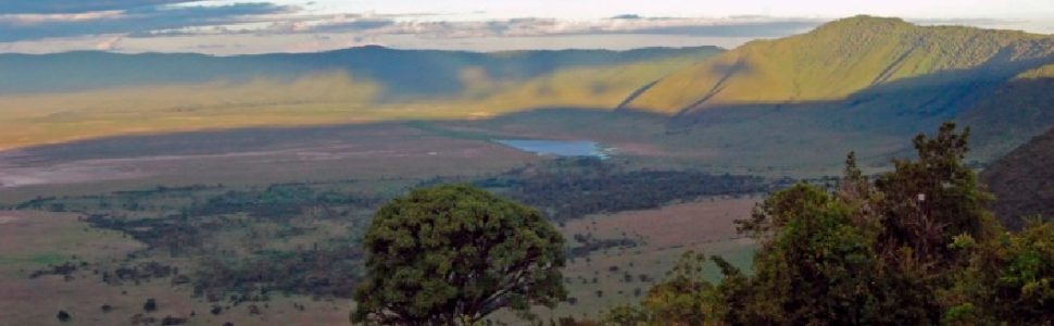 safari ngorongoro tanzania