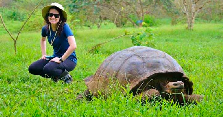 galapagos rico em fauna como a tartaruga