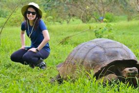 tartaruga gigante em galapagos