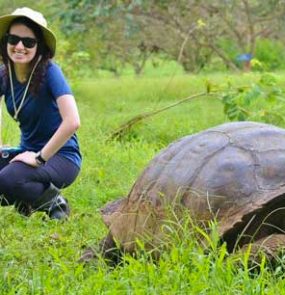 tartaruga gigante em galapagos