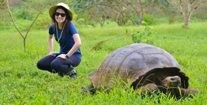 tartaruga gigante em galapagos