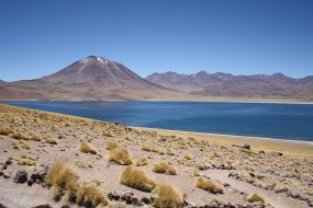 pacote para as lagunas altiplanicas no atacama