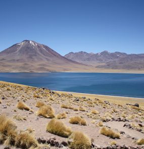 pacote para as lagunas altiplanicas no atacama