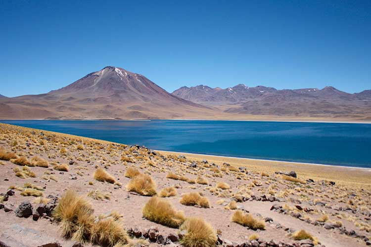 pacote para as lagunas altiplanicas no atacama