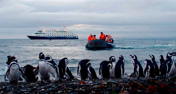 cruzeiro australis na patagonia