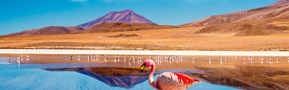 panoramica no deserto de atacama