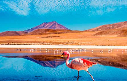 pacote de turismo no deserto de atacama