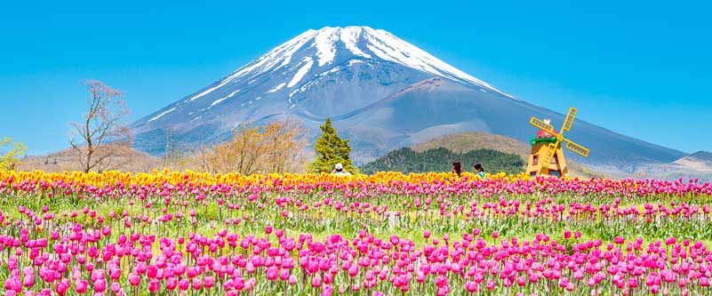 monte fuji japao