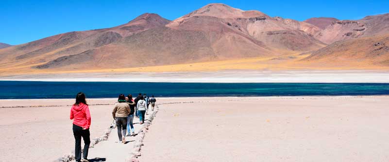 lagunas altiplanicas