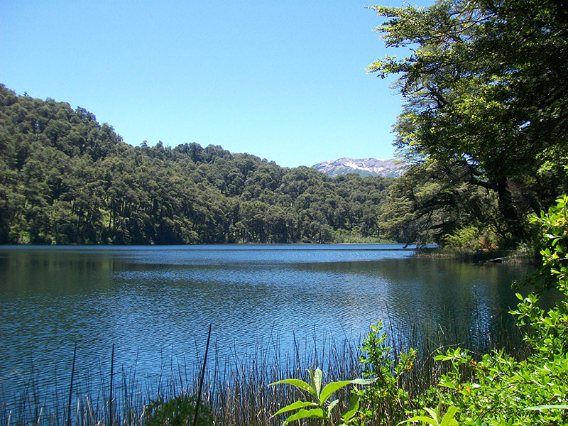 Um dos Lagos que voc~e pode encontrar na rota dos sete lagos até San Martin de Los Andes