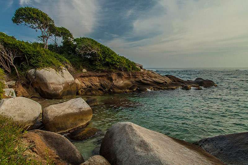 Belos lugares para descansar e conhecer a natureza exuberante do Parque Tayrona