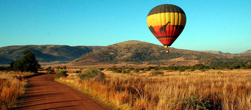 Sun City fica localizado no Parque Nacional Pillanesberg, e oferece passeios incríveis