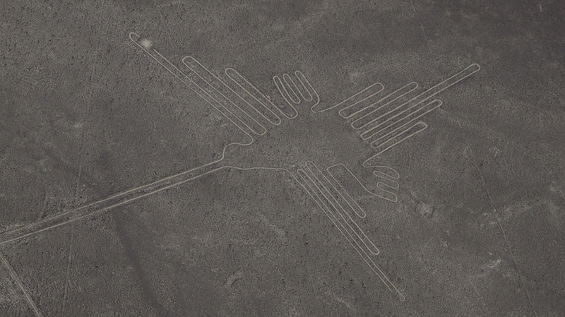 Beija Flor representado nas linhas de Nazca