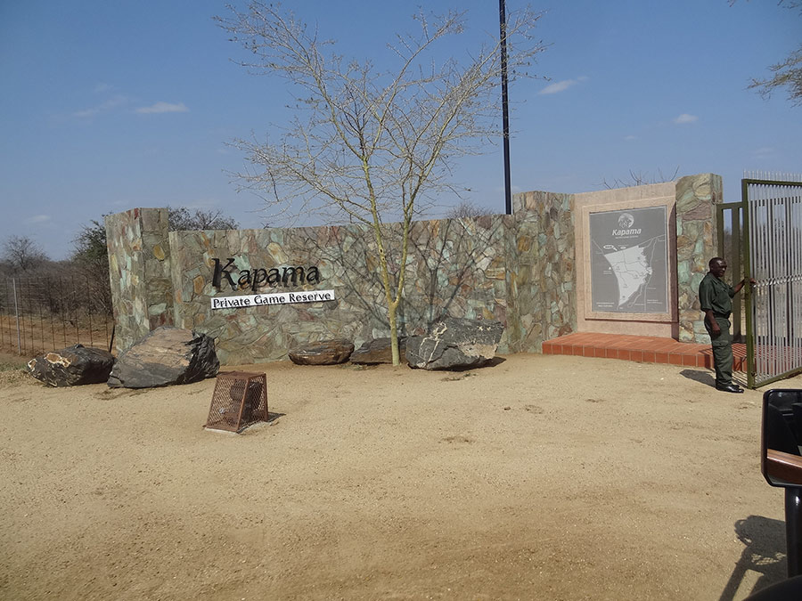 Parque Nacional Kruger: hospedar no Kapama é uma experiência incrível e luxuosa