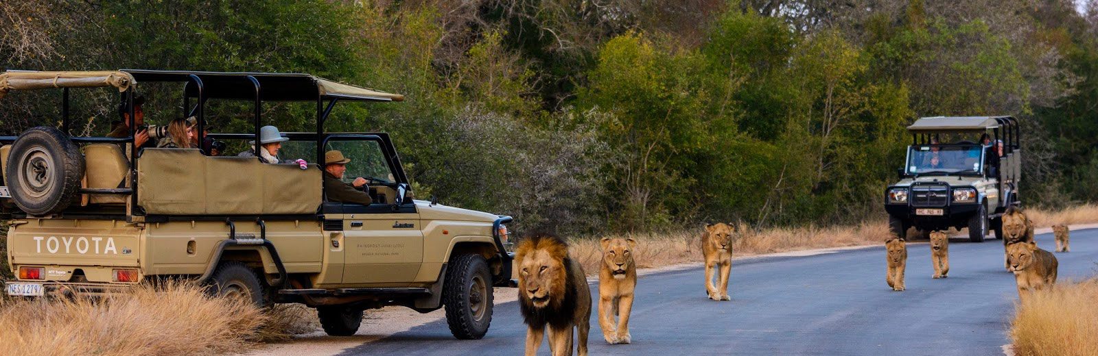 Parque Nacional Kruger, o melhor safári que existe