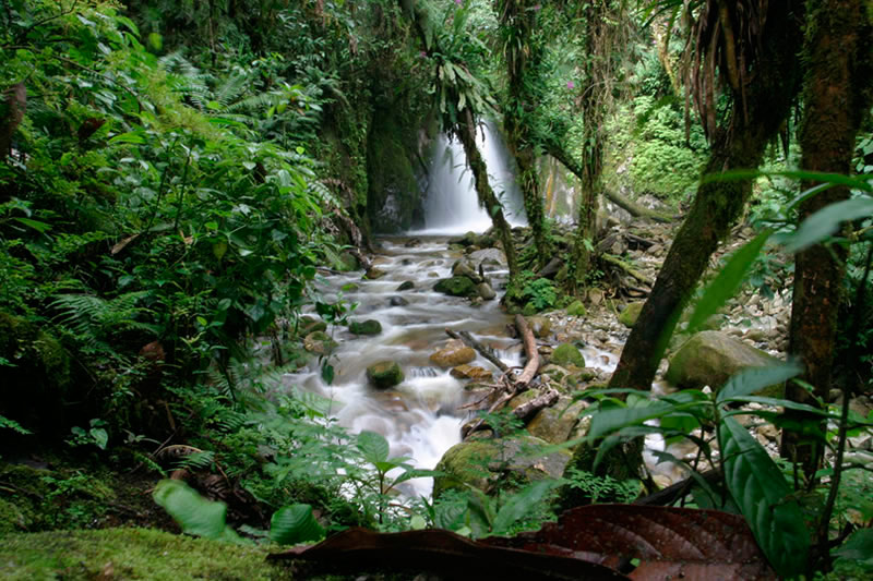 Cascata em Los Jardines de Mandor, um lugar de águas geladas, com uma paisagem incrível