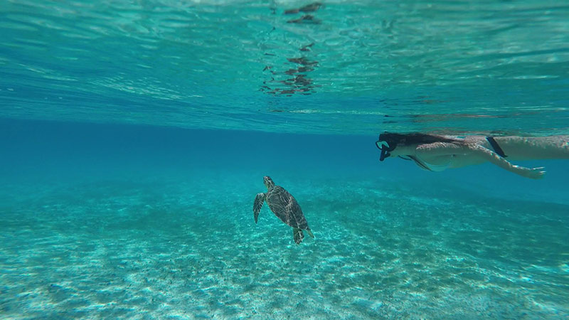 A ilha de providência possui opções de atividades para os turistas, como o snorkel