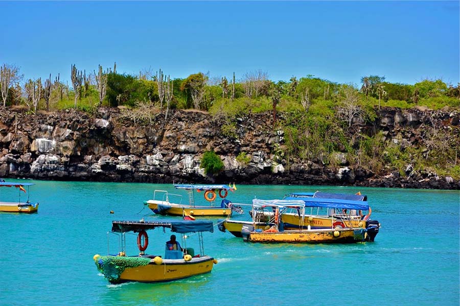Ilhas Galápagos: um local que guarda muita história com sua fauna e flora peculiares
