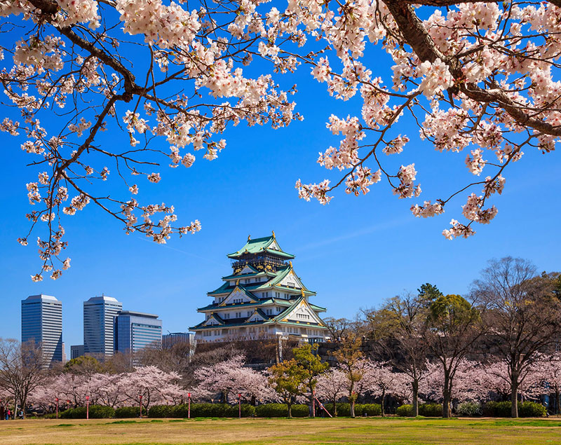 Roteiro de viagem para o Japão: voce encontrará muitaas opções de turismo em Osaka, aproveite para conhecer a cidade