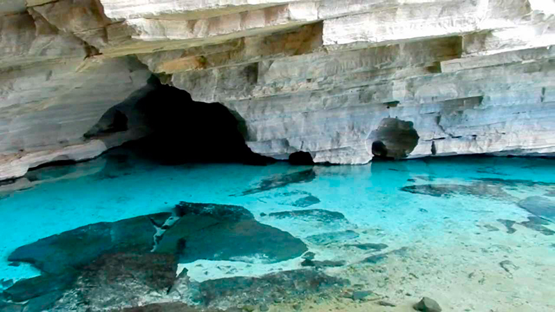 Chapada Diamantina: Gruta da pratinha é um local onde podem ser observados animais e formações rochosas