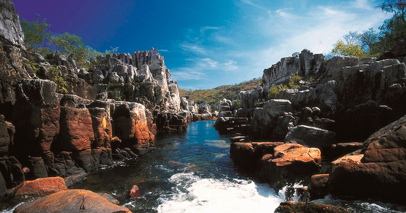 Chapada dos veadeiros: paisagens incríveis para desbravar