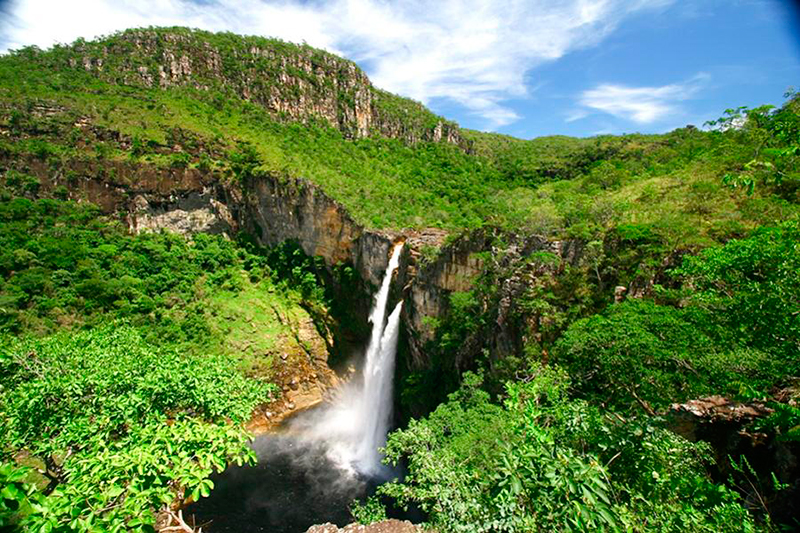 Chapada dos veadeiros: incrível local para conhecer a paisagem natural e a beleza reservada