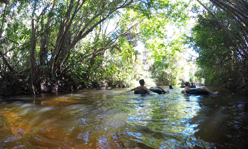 Lençóis Maranhenses: O Rio formiga proporciona um passeio incrível para conhecer a fauna e a flora do local