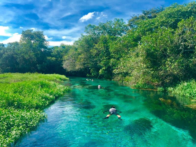 Roteiro de viagem para Mato Grosso do Sul: rios com águas cristalinas, uma fauna exuberante você encontra em Bonito