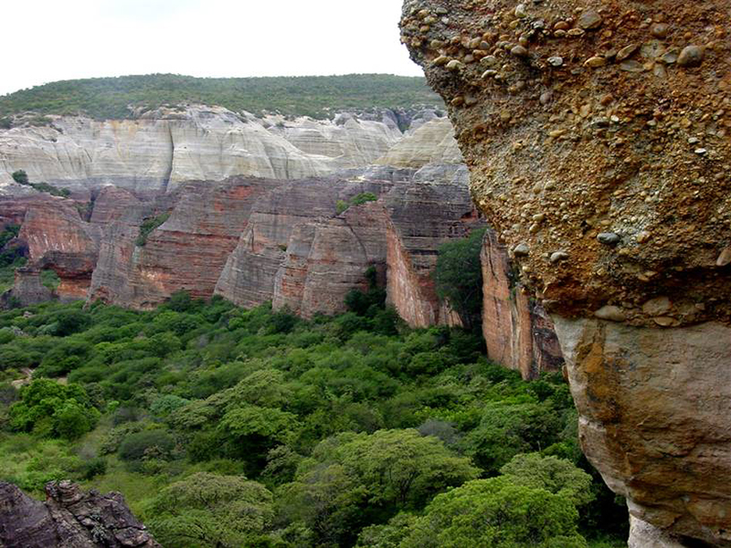 Serra da capivara: Localizada no Piauí, o local é referencia nas escavações e descobertas pré-históricas