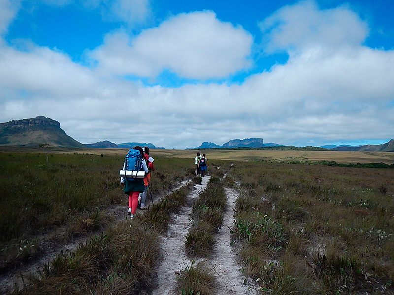 Vale do Pati: O trekking é uma excelente opção para quem gostaria de conhecer de perto as belezas da região