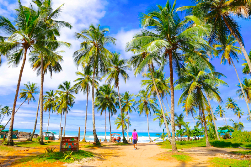 Viagem para a Bahia: Paisagens incríveis e passeios inesquecíveis em Itacaré