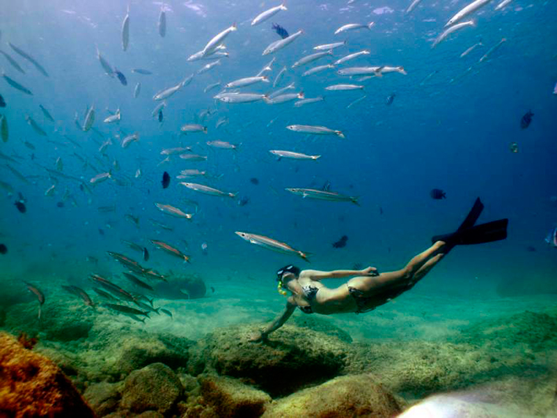 Viagem para Pernambuco: Mergulhar em Fernando de Noronha é uma atividade que proporciona entrar em contato com a natureza, conhecer o habitat e observar os animais bem de perto