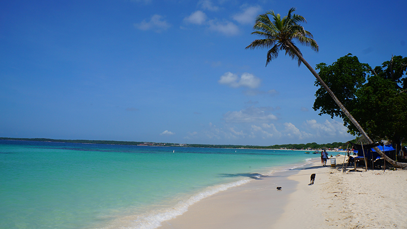 Passeios em Cartagena: Praias de águas claras podem ser encontradas em Baru e Playa Blanca