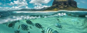 Turismo na África do Sul: AS ilhas maurício oferecem uma experiência incrível em meio à natureza
