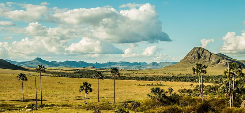 O que fazer na Chapada dos Veadeiros? Conhecer o belo jardim de Maitreya