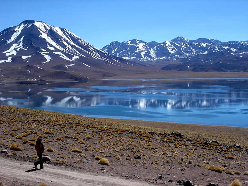 Deserto de Atacama: Lagunas encantadoras formam paisagens incríveis 