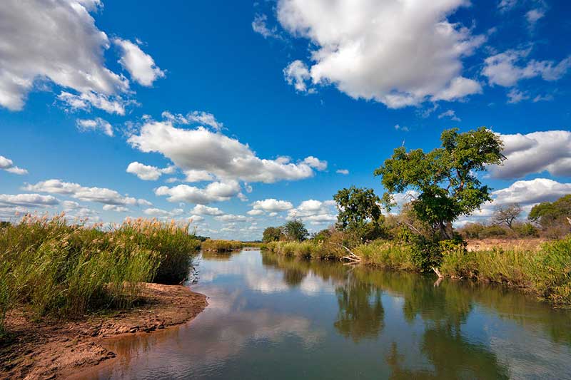Passeios na África do Sul: O Kruger é uma reserva nacional 
