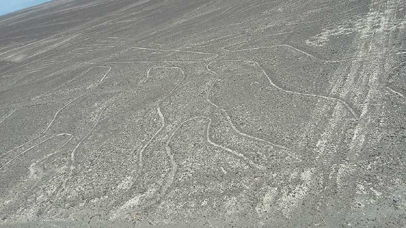 Pontos turísticos do Peru: Visitar as linhas de Nazca é um passeio incrível