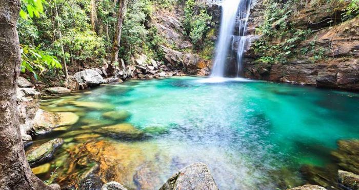 Um dos destinos nacionais qeu permite conhecer muitas cachoeiras e a chapada dos veadeiros