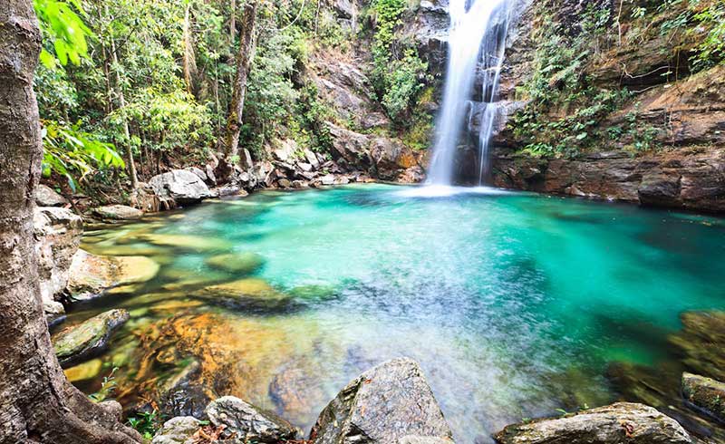 Um dos destinos nacionais qeu permite conhecer muitas cachoeiras e a chapada dos veadeiros