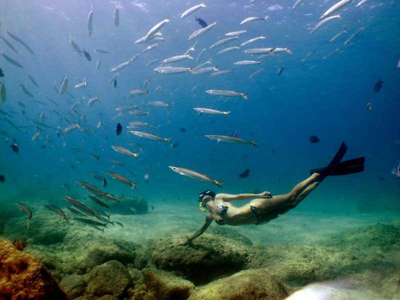 Fernando Noronha é um dos melhores destinos nacionais para a prática de mergulho