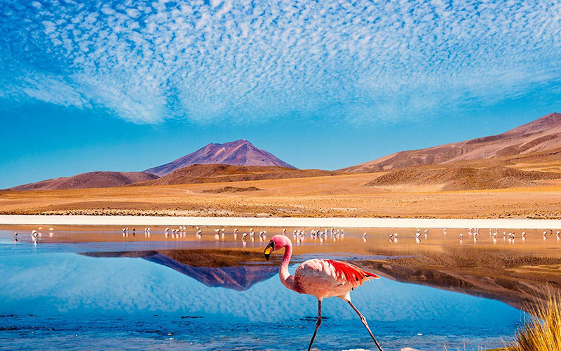 Tudo sobre o Atacama: Localizado no Chile, o deserto encanta a todos os seus turistas