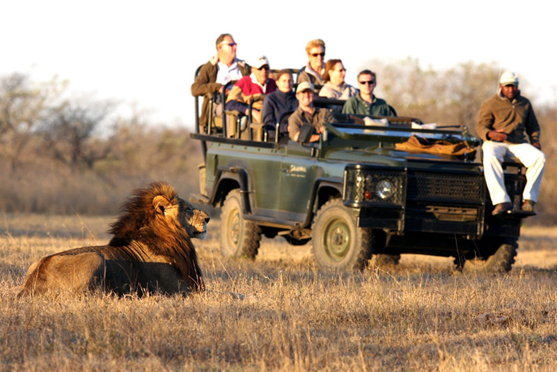 tourist safari africa