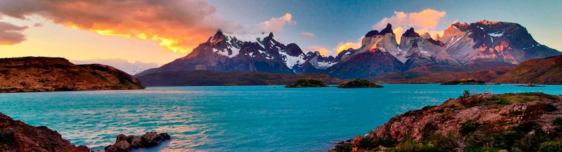 Estudo aponta que raça rara na Patagônia é parente mais próximo de